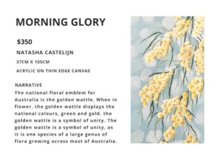 Morning Glory